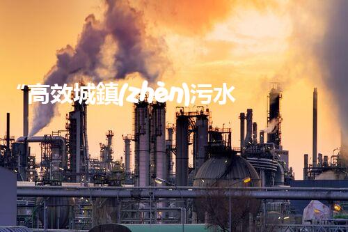 “高效城鎮(zhèn)污水處理流程，守護(hù)碧水藍(lán)天新篇章”